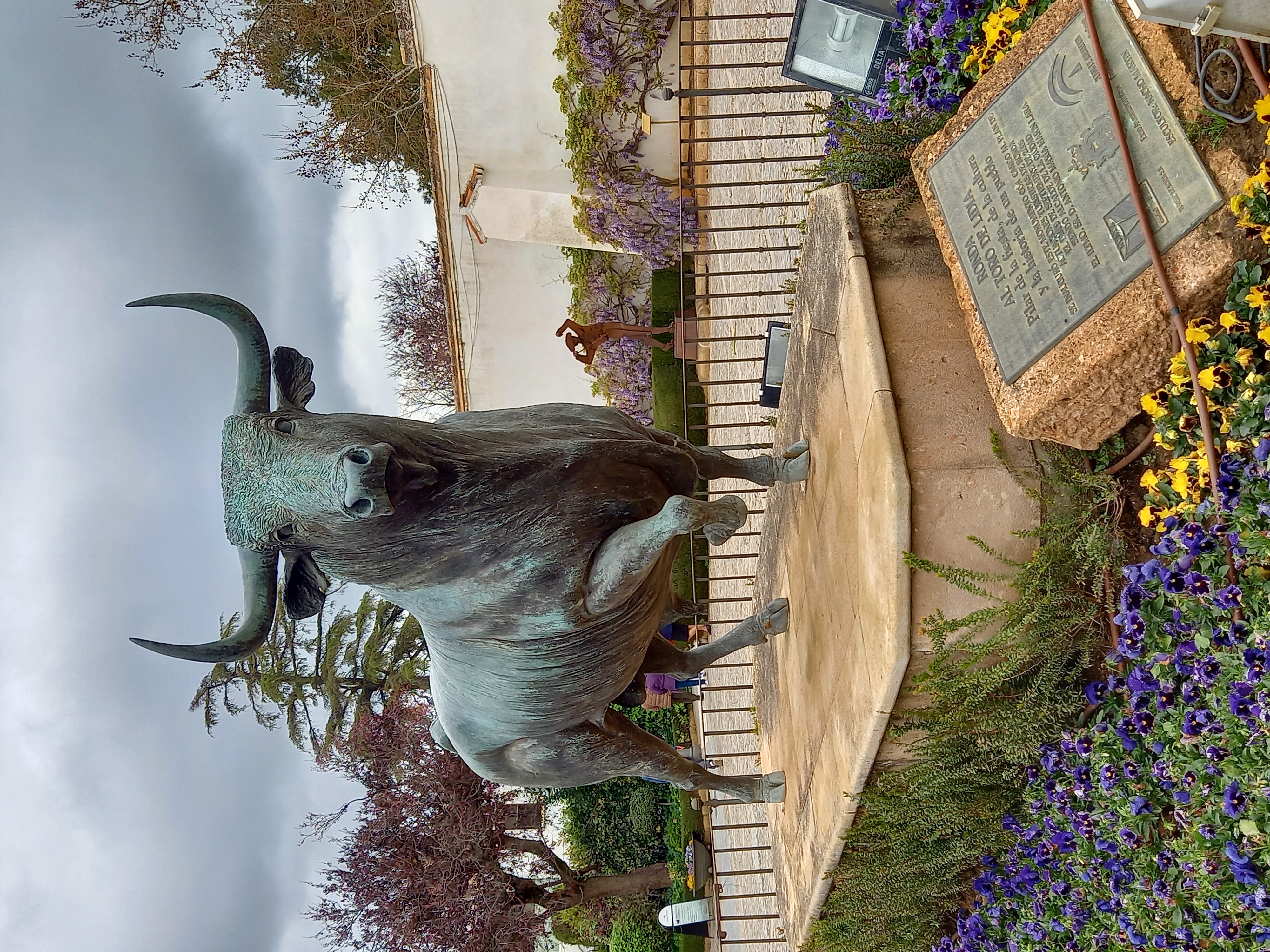 Afbeelding van naar spanje